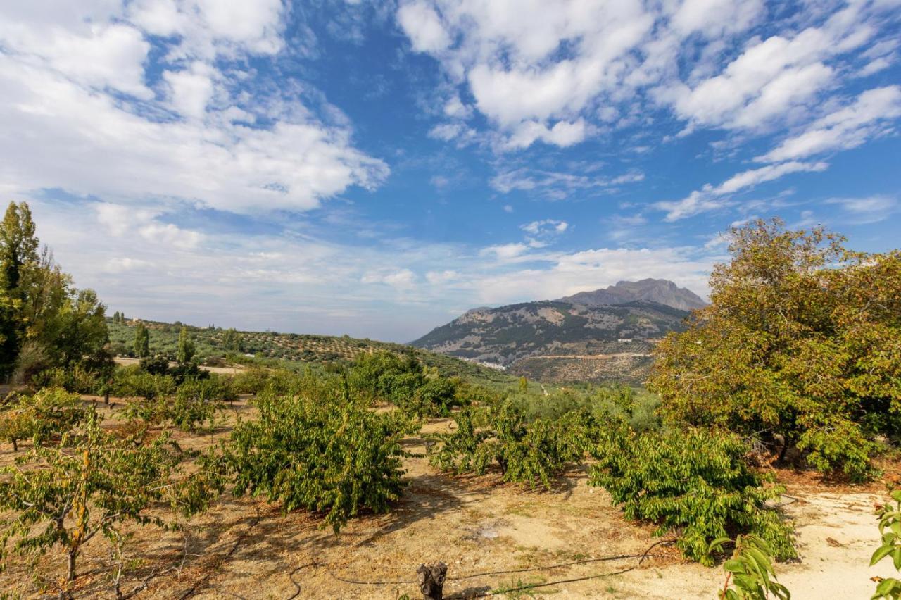 Casa Jurinea Alzar Villa Torres  Buitenkant foto