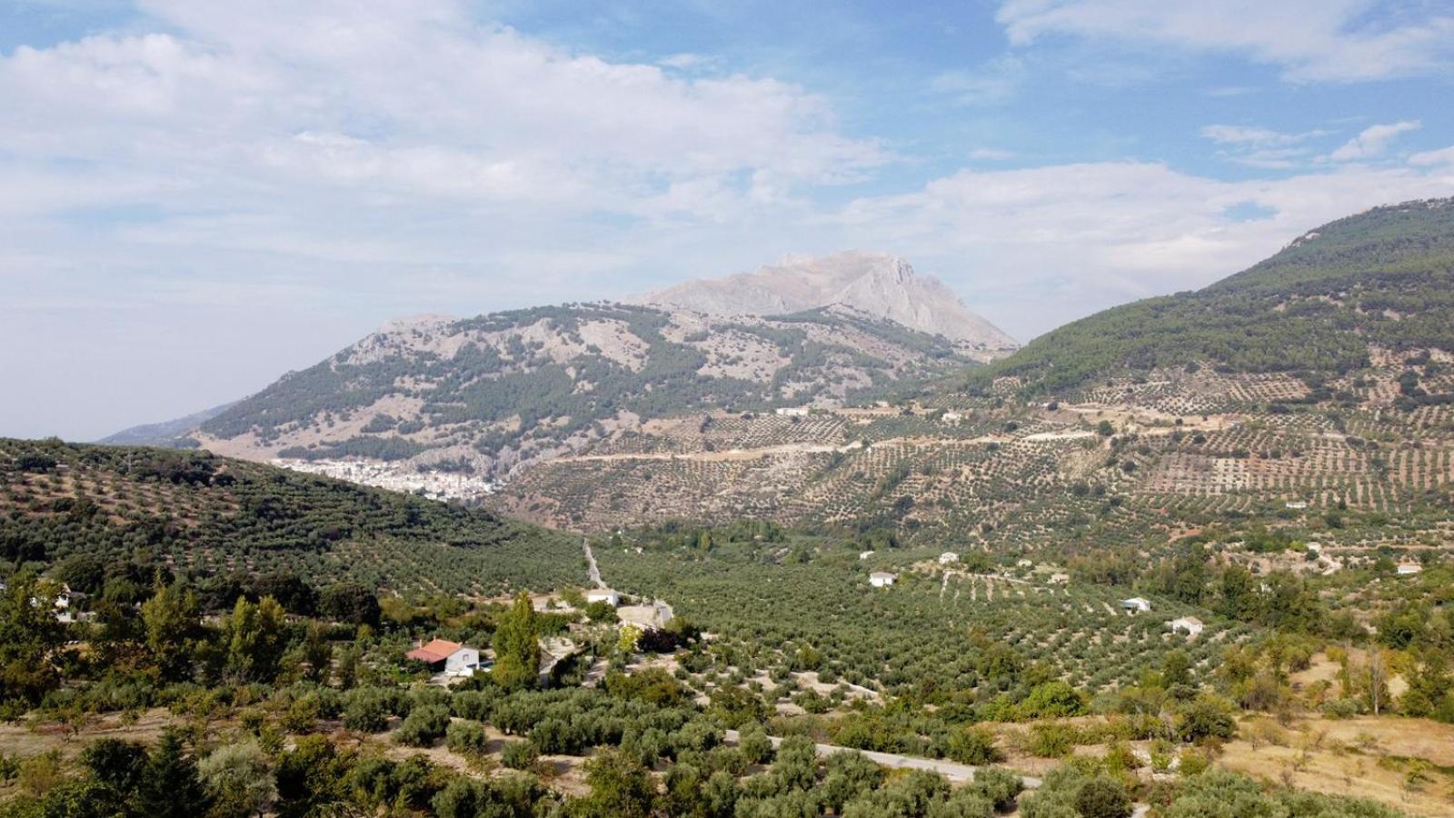 Casa Jurinea Alzar Villa Torres  Buitenkant foto